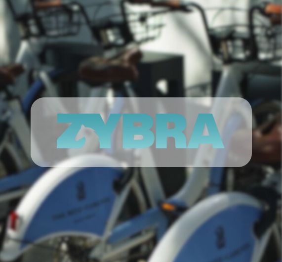 Zybra-for-Website[1]